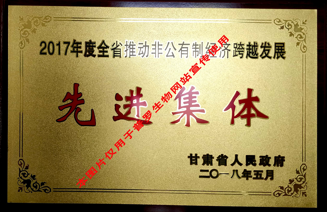 推動非公有制經(jīng)濟先進(jìn)集體
